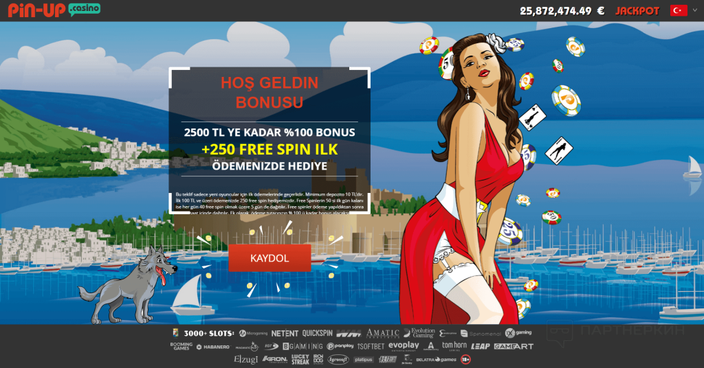 Pin Up güncel giriş adresi
