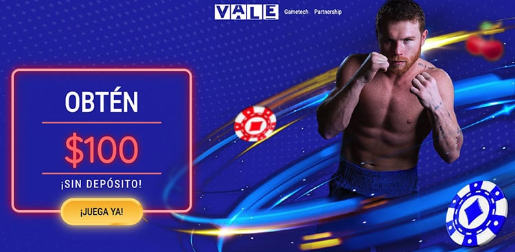 Vale İncelemesi Sadakat Programı